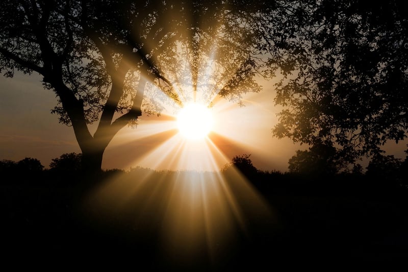 Whimsical scenery
